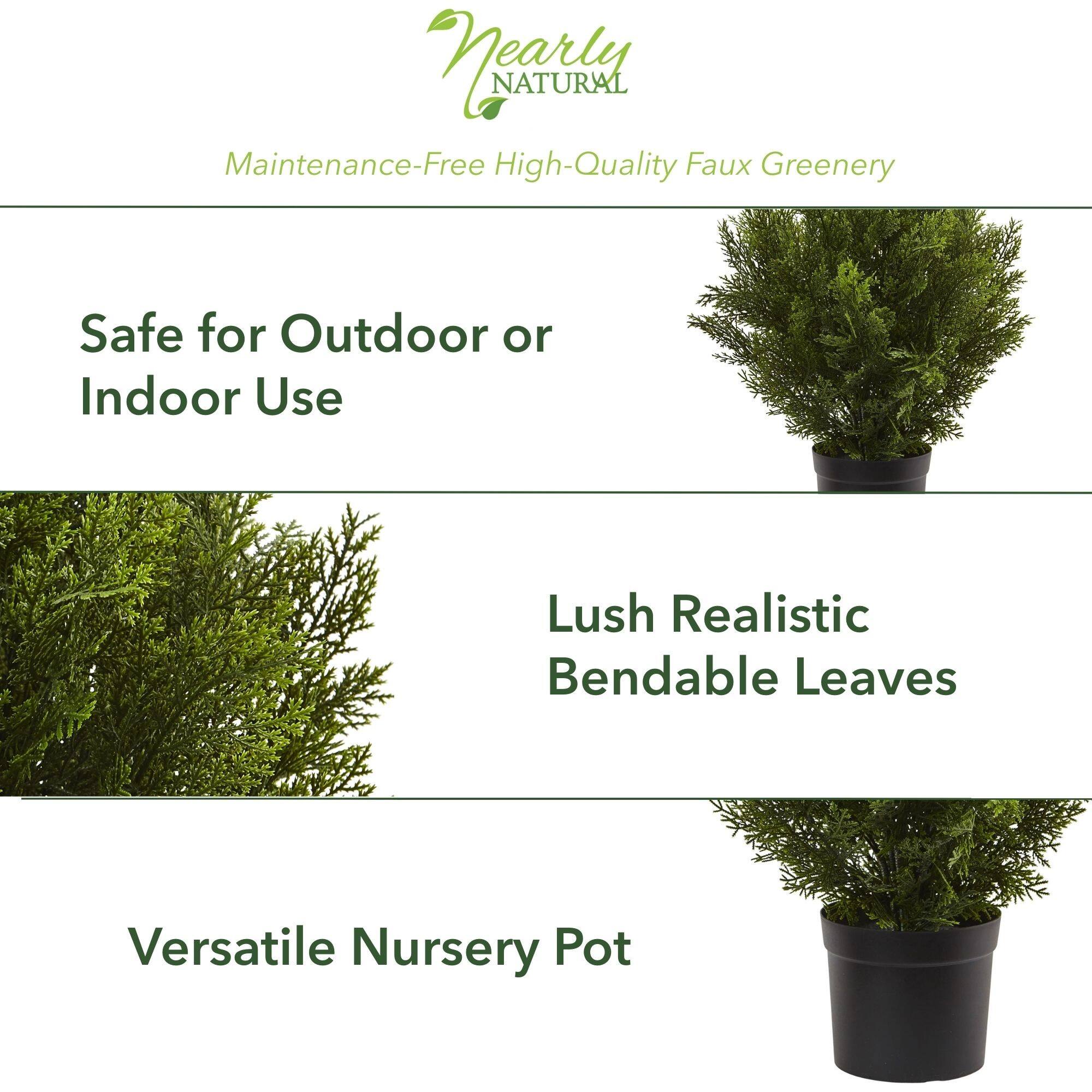 2ft. Potted Cedar Bush